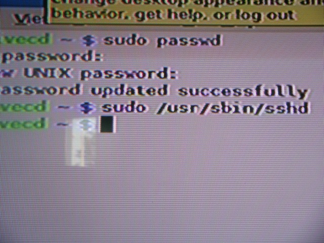 user posted image